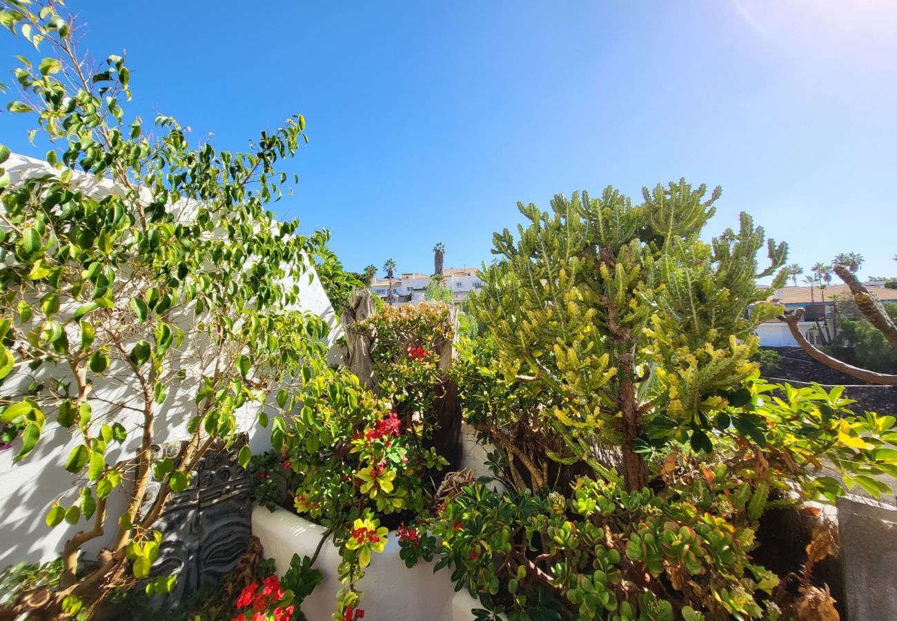 Semi-detached house in Arona - !SOLD! Townhouse with sea view and 2 terraces